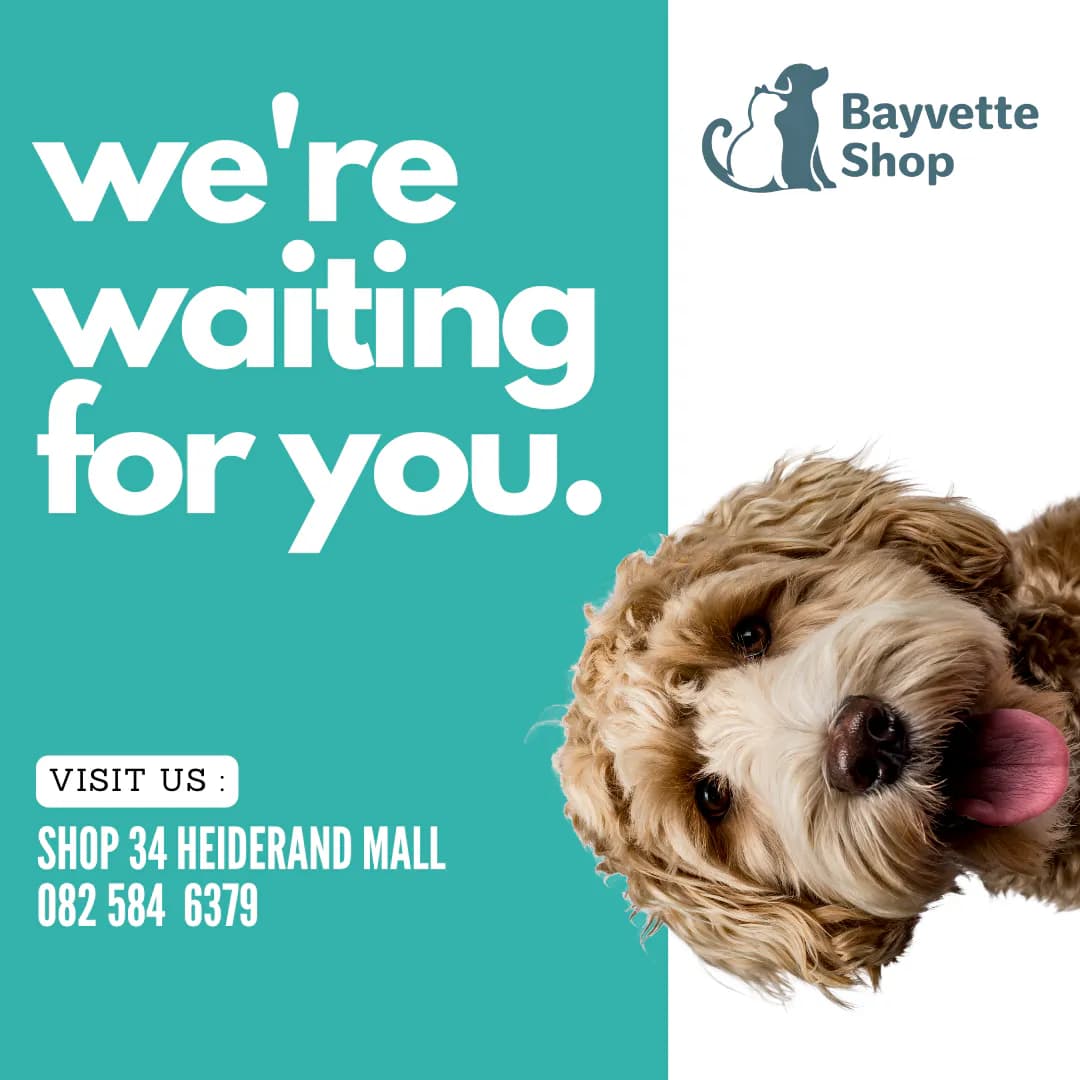 Bayvette Shop