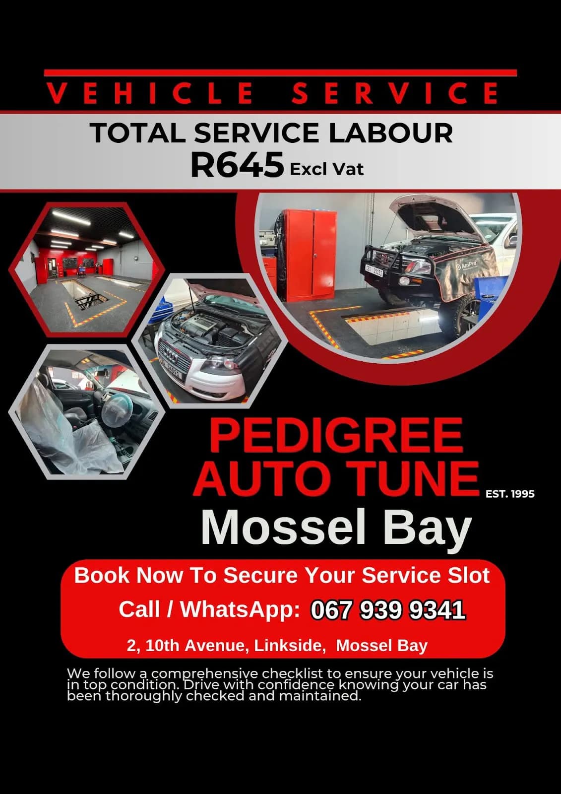 Pedigree Auto Tune Mossel Bay Mechanic