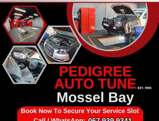 Pedigree Auto Tune Mossel Bay Mechanic